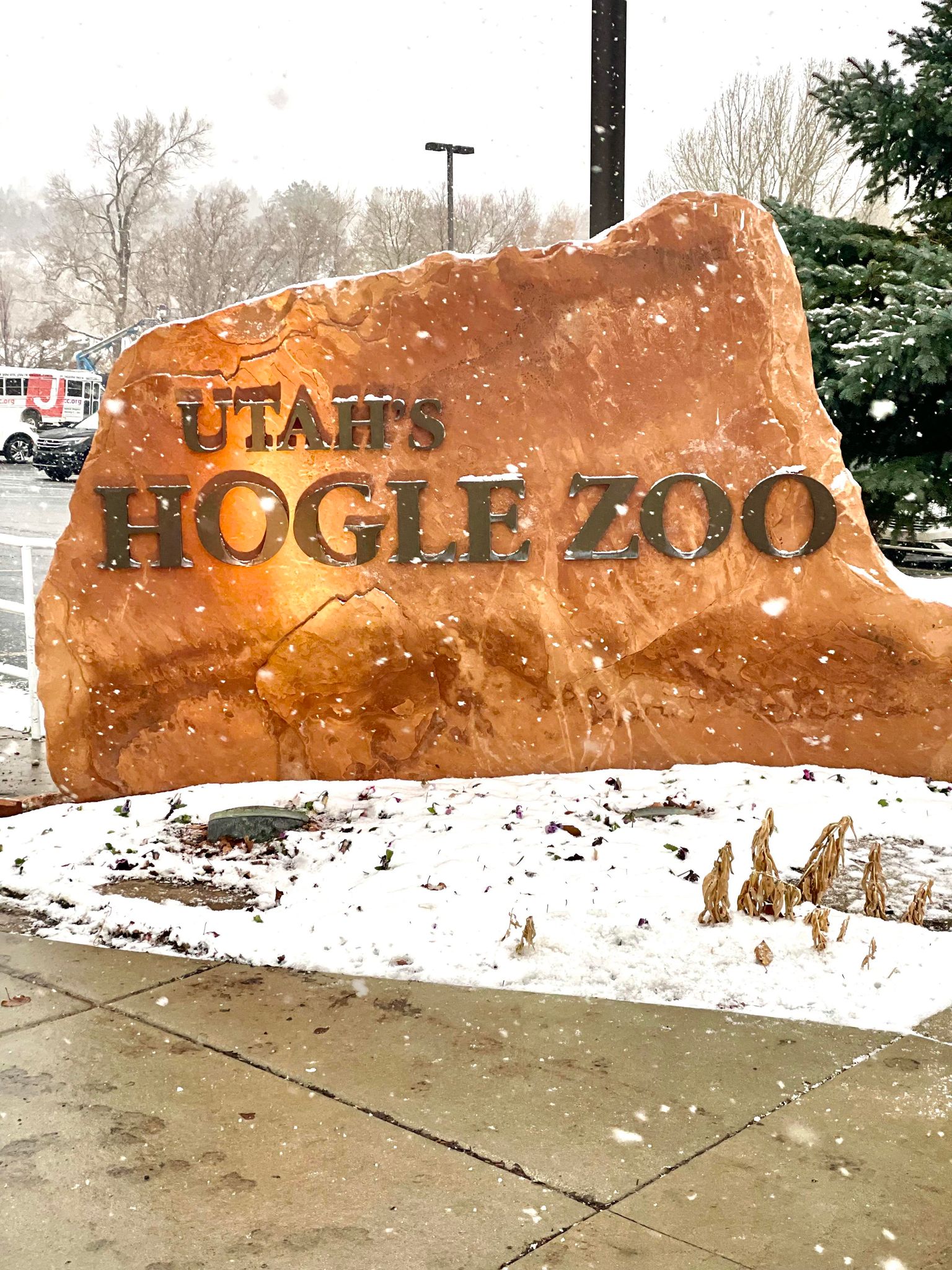 Salt Lake City Zoo Lights image 6